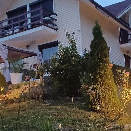 הוילה פיאטרה ניאמט Casa Irina מראה חיצוני תמונה